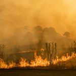 3 people still missing after devastating Colorado wildfire