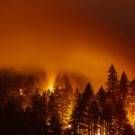More evacuations ordered in California as wildfires threaten giant sequoia trees