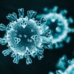 COVID-19 updates: US sees 50% drop in daily infections since September