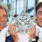 Take a deep dive into the rise and demise of Las Vegas legends Siegfried & Roy with ‘Wild Things’ podcast